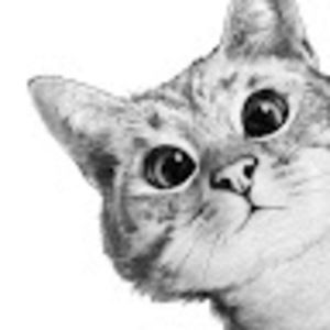 Meet your Posher, Aïcha fanny